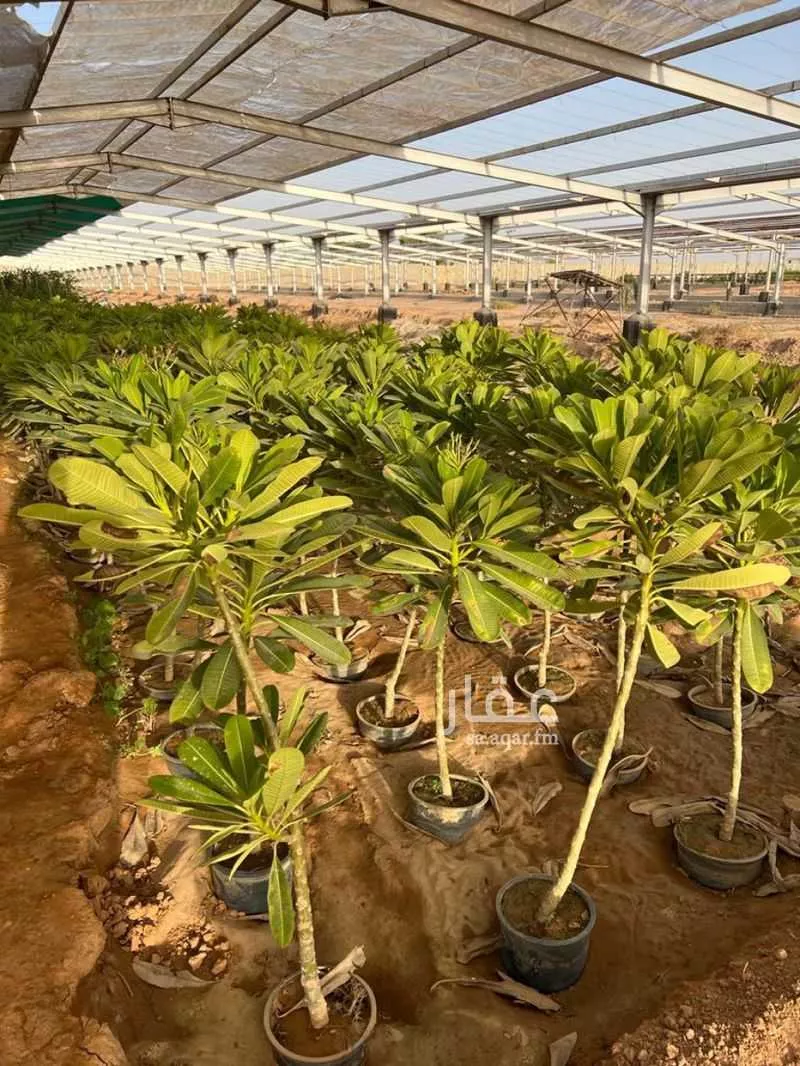 مزرعة للبيع في حي الضبيعة, مدينة الخرج, منطقة الرياض 1 صورة