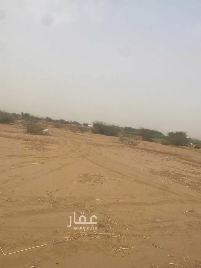 أرض للإيجار في شارع الشابطه, العروس 1 صورة