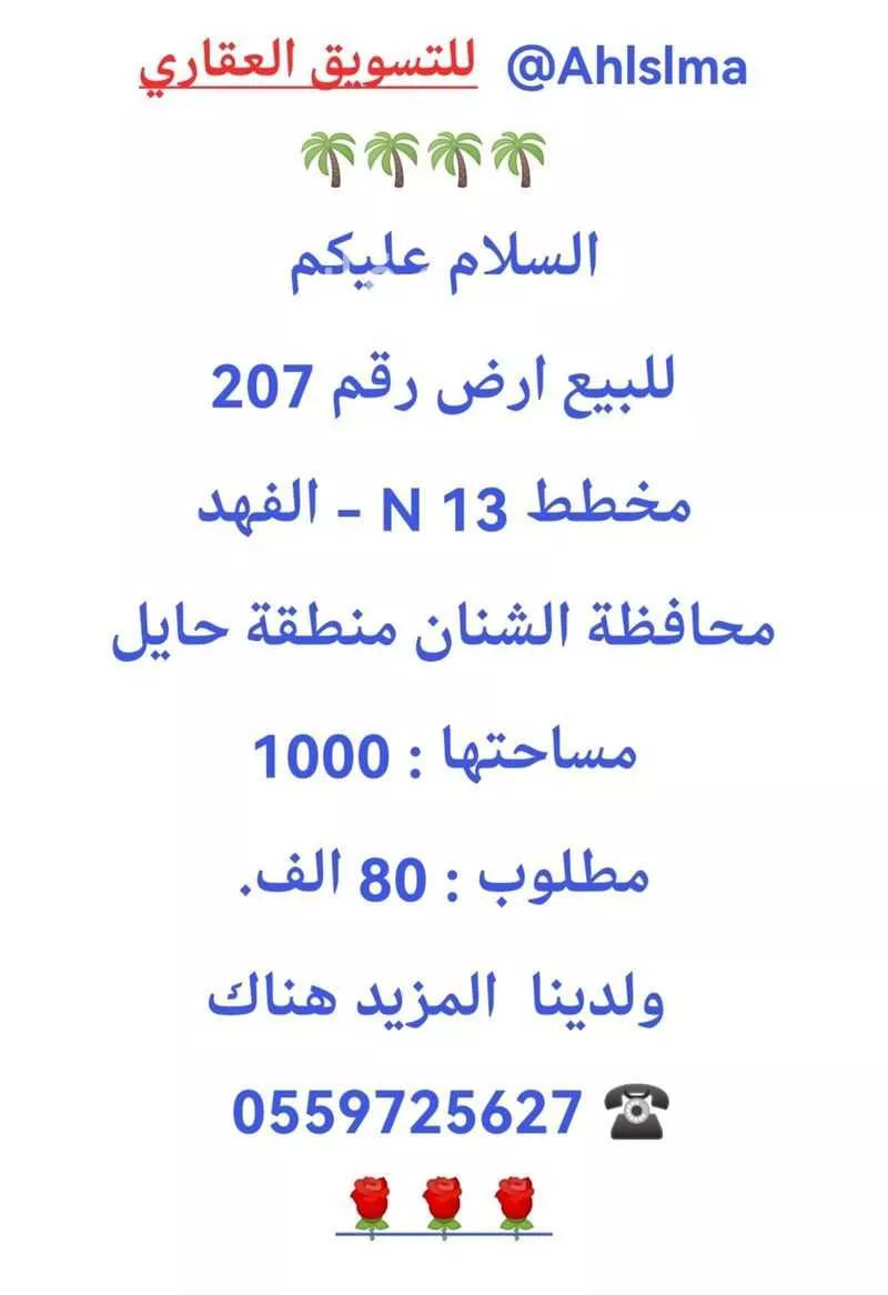 أرض للبيع في حي السلام, مدينة الشنان, منطقة حائل 1 صورة