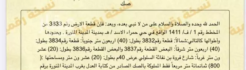 أرض للبيع في شارع فروة بن نفاثة السلولي, حي المدينة الصناعية, مدينة المدينه المنوره, منطقة المدينة المنورة 1 صورة