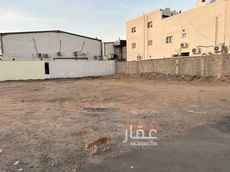 أرض للبيع في شارع عبدالله بن وهب, حي السلام, مدينة المدينه المنوره, منطقة المدينة المنورة 1 صورة