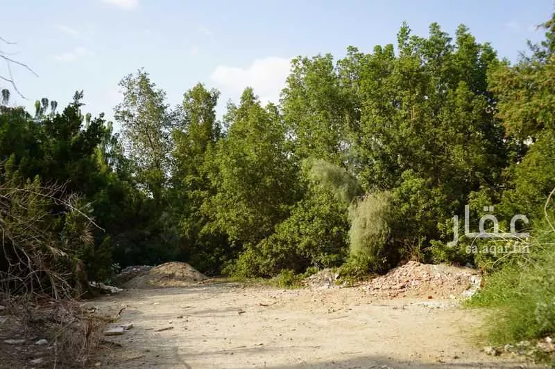 أرض للبيع في شارع الرامى, حي النزهة, مدينة مكه المكرمه, منطقة مكة المكرمة 1 صورة