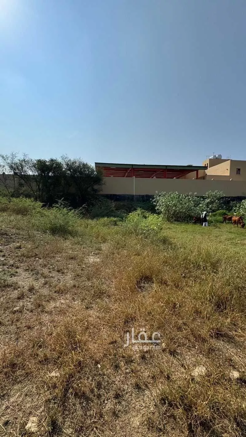 أرض للبيع في شارع أم القرى ، العارضة ، العارضة 1 صورة