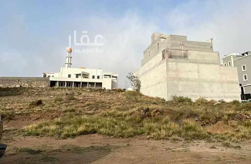 أرض للبيع في شارع 47 العقيق, حي العقيق, مدينة ابها, منطقة عسير 1 صورة