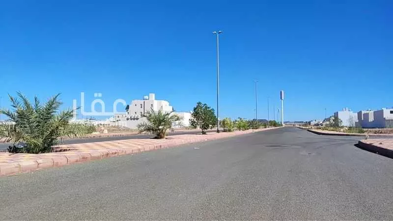 أرض للبيع في شارع يحيىى بن معين ، حي نبلاء ، المدينة المنورة ، منطقة المدينة المنورة 1 صورة