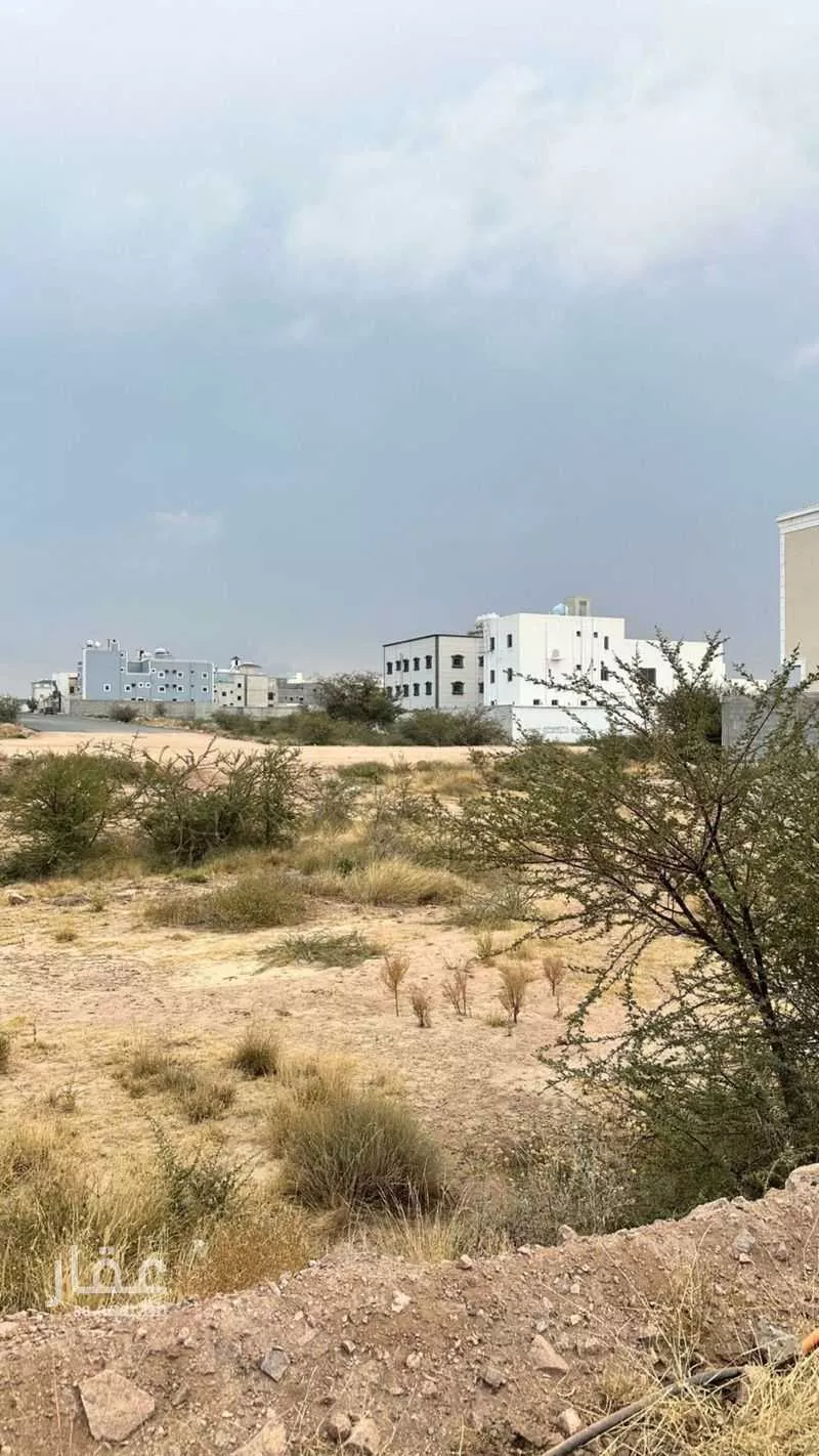 أرض للبيع في شارع الاقيشر ، حي العنود ، الواديين ، احد رفيدة 1 صورة