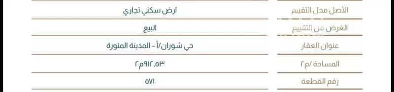أرض للبيع في طريق صلاح الدين الايوبي ، حي شوران ، المدينة المنورة ، منطقة المدينة المنورة 1 صورة
