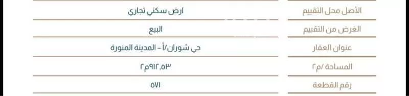 أرض للبيع في طريق صلاح الدين الايوبي ، حي شوران ، المدينة المنورة ، منطقة المدينة المنورة 1 صورة