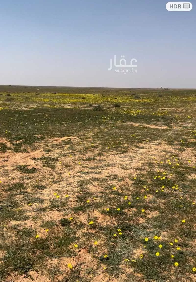 مزرعة للبيع في شارع ضيدة, مدينة السعيره, منطقة القصيم 1 صورة