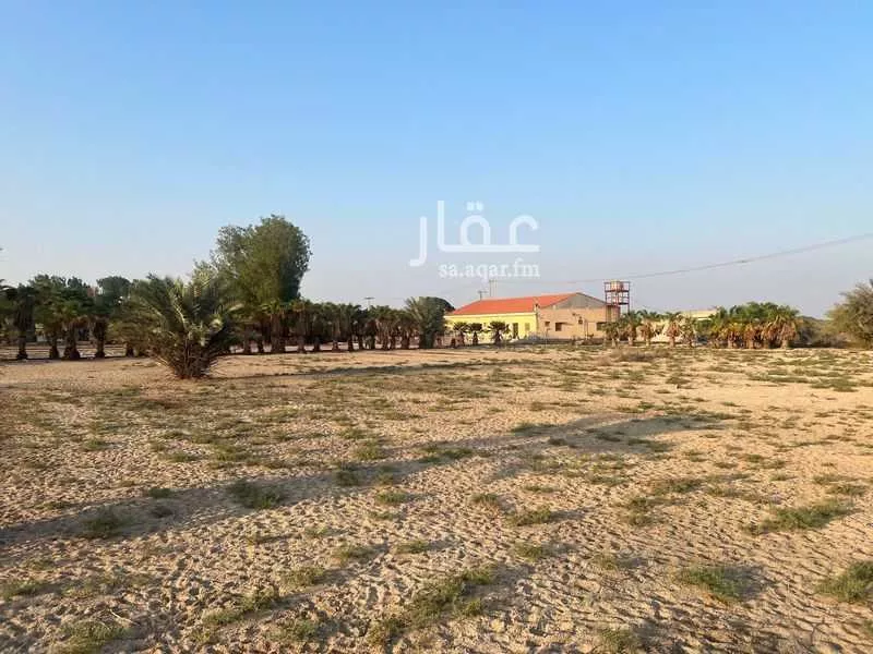 مزرعة للبيع في شارع سيحة أبومعن, مدينة القطيف, المنطقة الشرقية 1 صورة