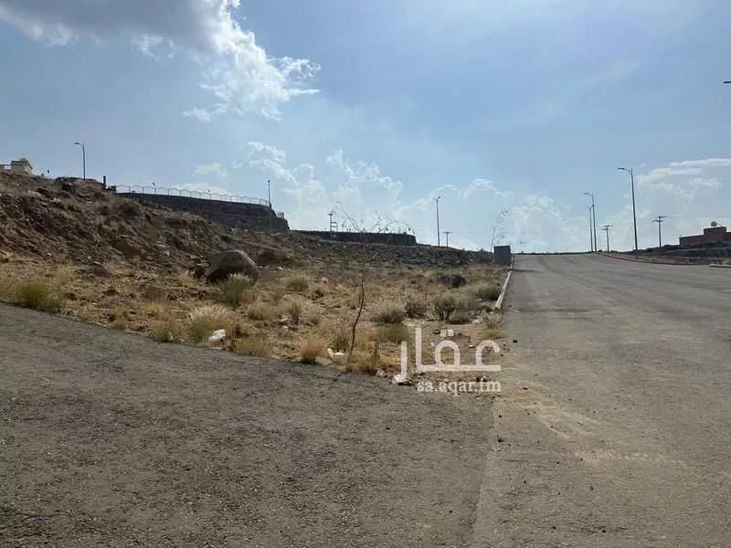 أرض للبيع في شارع طريق الملك عبدالله, حي العقيق, مدينة ابها, منطقة عسير 1 صورة