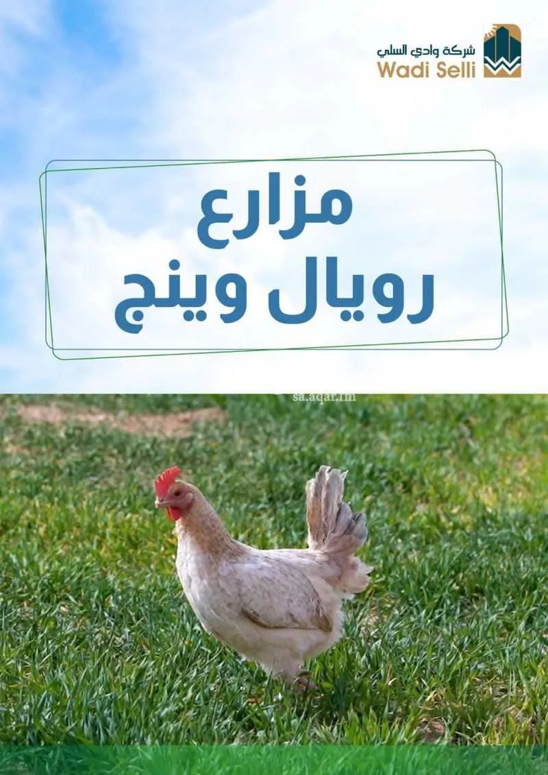 مزرعة للبيع في شارع العقيمي العام, حي مزرعة بن صالح القديمه, مدينة مزرعة بن صالح القديمه, منطقة الرياض 1 صورة