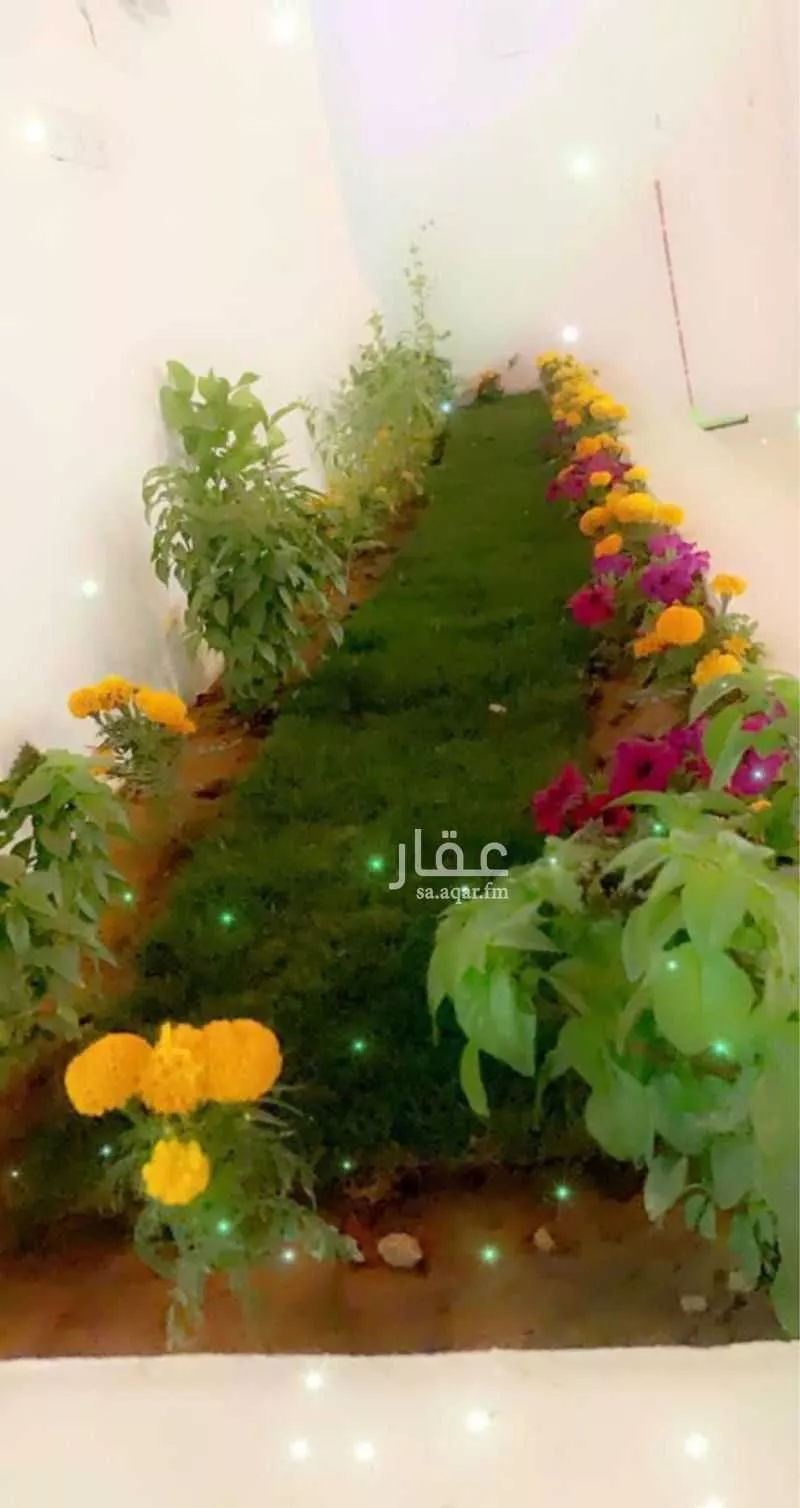 دور للإيجار في شارع ال سليم , حي ظهرة البديعة, مدينة الرياض, منطقة الرياض 1 صورة