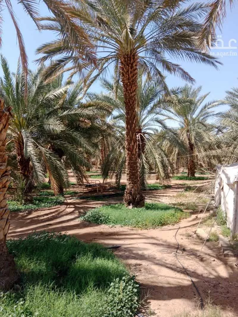 أرض للإيجار في حي المندسة, مدينة المدينة المنورة, منطقة المدينة المنورة 1 صورة