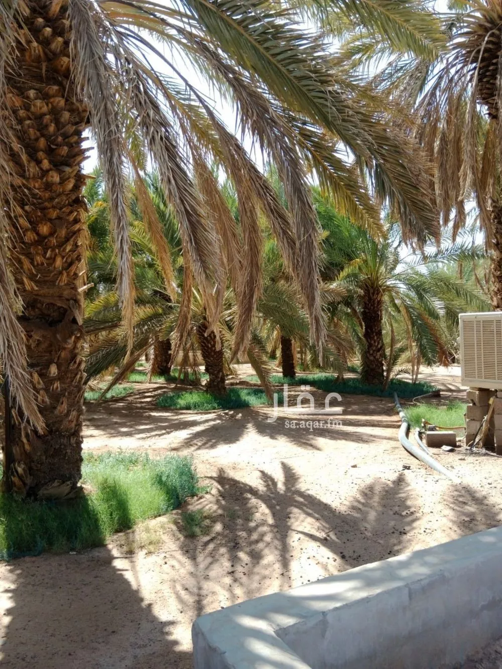 مزرعة للبيع في شارع شارع 20, حي المندسة, مدينة المدينة المنورة, منطقة المدينة المنورة 1 صورة