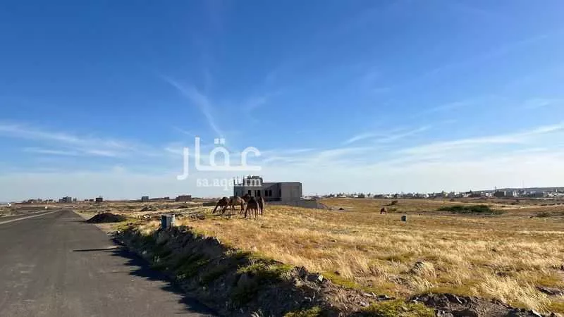 أرض للبيع في شارع 5519617, حي الصفوة, مدينة جدة, منطقة مكة المكرمة 1 صورة