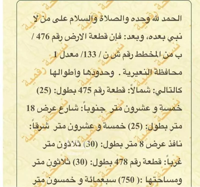 أرض للبيع في حي حي الروابي, مدينة النعيريه, المنطقة الشرقية 1 صورة