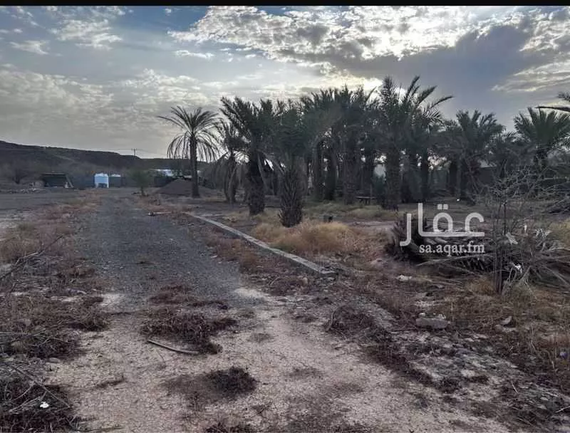 استراحة للإيجار في حي وادي البطان, مدينة المدينة المنورة, منطقة المدينة المنورة 1 صورة