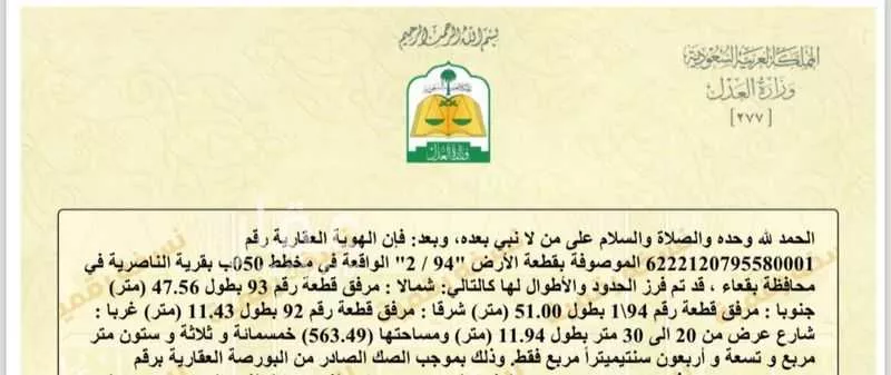 أرض للبيع في شارع بقعاء 1 ، الناصرية ، بقعاء 1 صورة