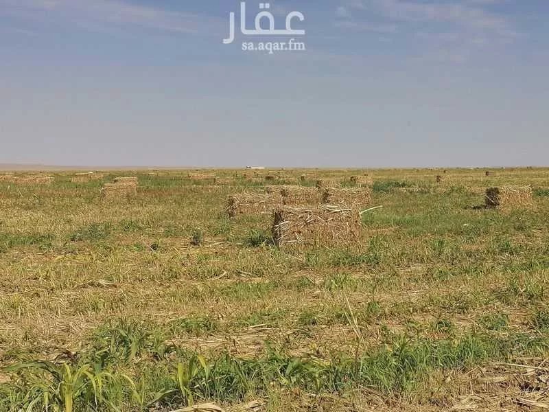 مزرعة للبيع في حي مزارع شمال تيماء (جريش), مدينة مزارع شمال تيماء (جريش), منطقة تبوك 1 صورة