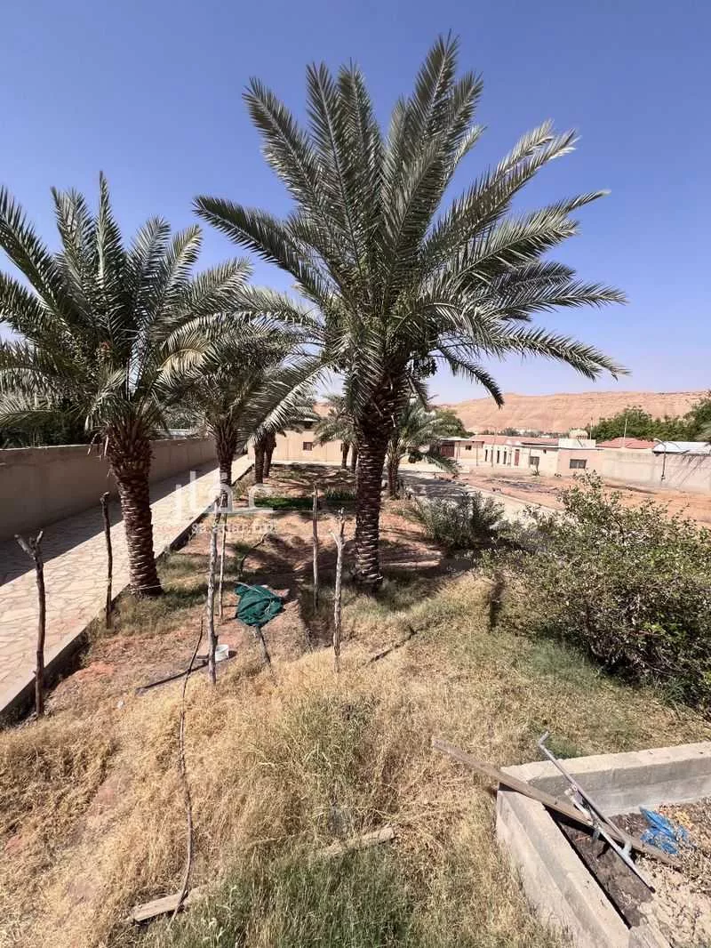 استراحة للإيجار في شارع ثابت ابن المنذر, مدينة الرياض, منطقة الرياض 1 صورة