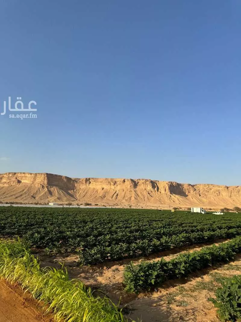 مزرعة للبيع في شارع عجاج ومزارعه 552, مدينة عجاج ومزارعه, منطقة الرياض 1 صورة