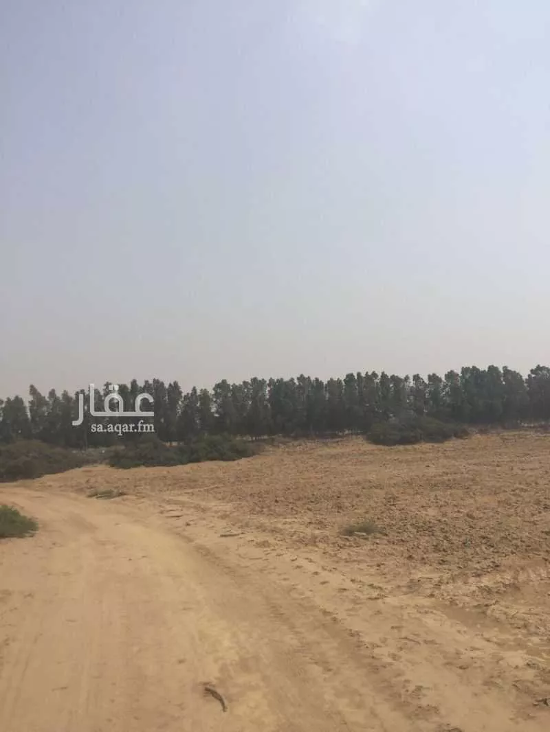 أرض للبيع في شارع محمد بن ناصر, حي الصفا, مدينة احد المسارحه, منطقة جازان 1 صورة