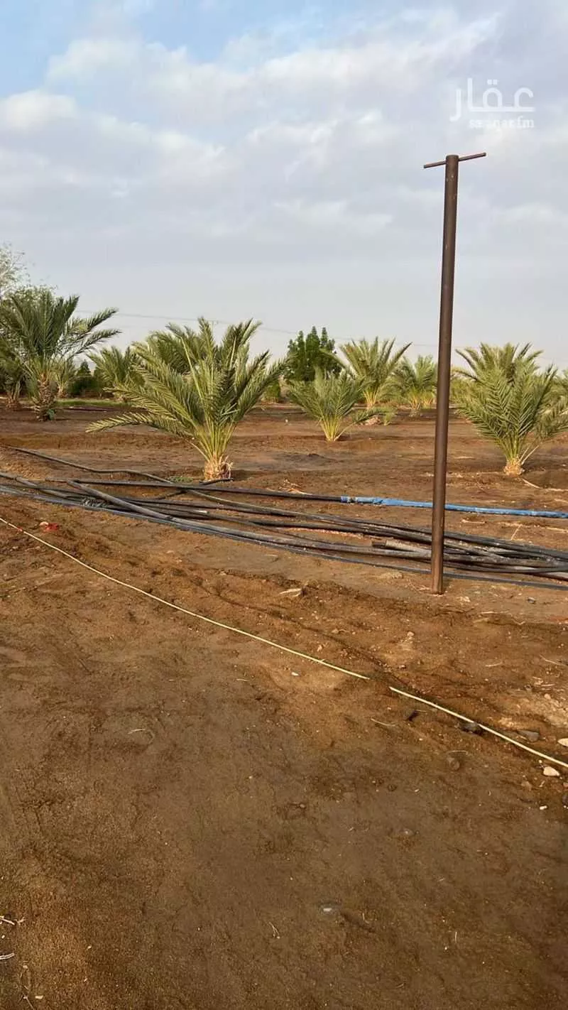 مزرعة للبيع في شارع ابي البركات الجمال, حي اليمانية, مدينة خليص, منطقة مكة المكرمة 1 صورة