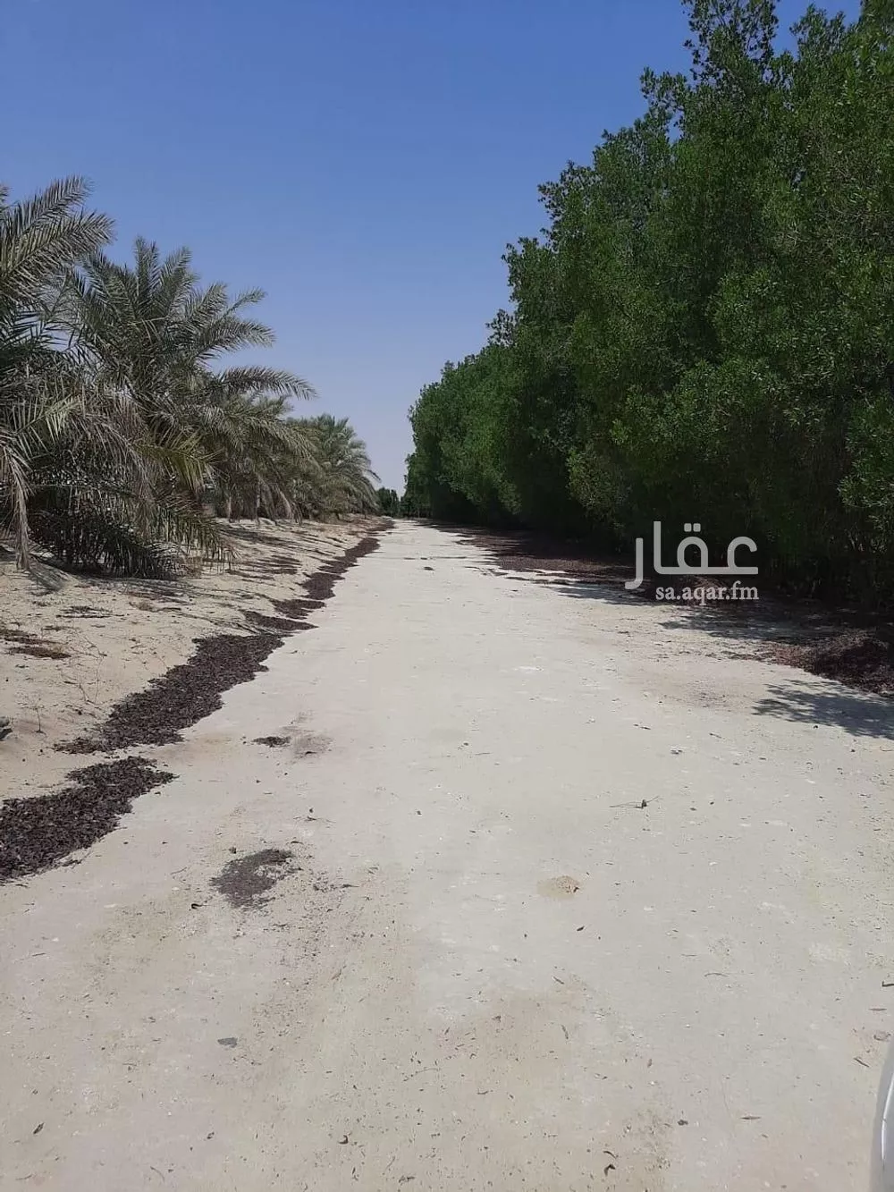 مزرعة للبيع في شارع التابلاين, مدينة الجبيل, المنطقة الشرقية 1 صورة