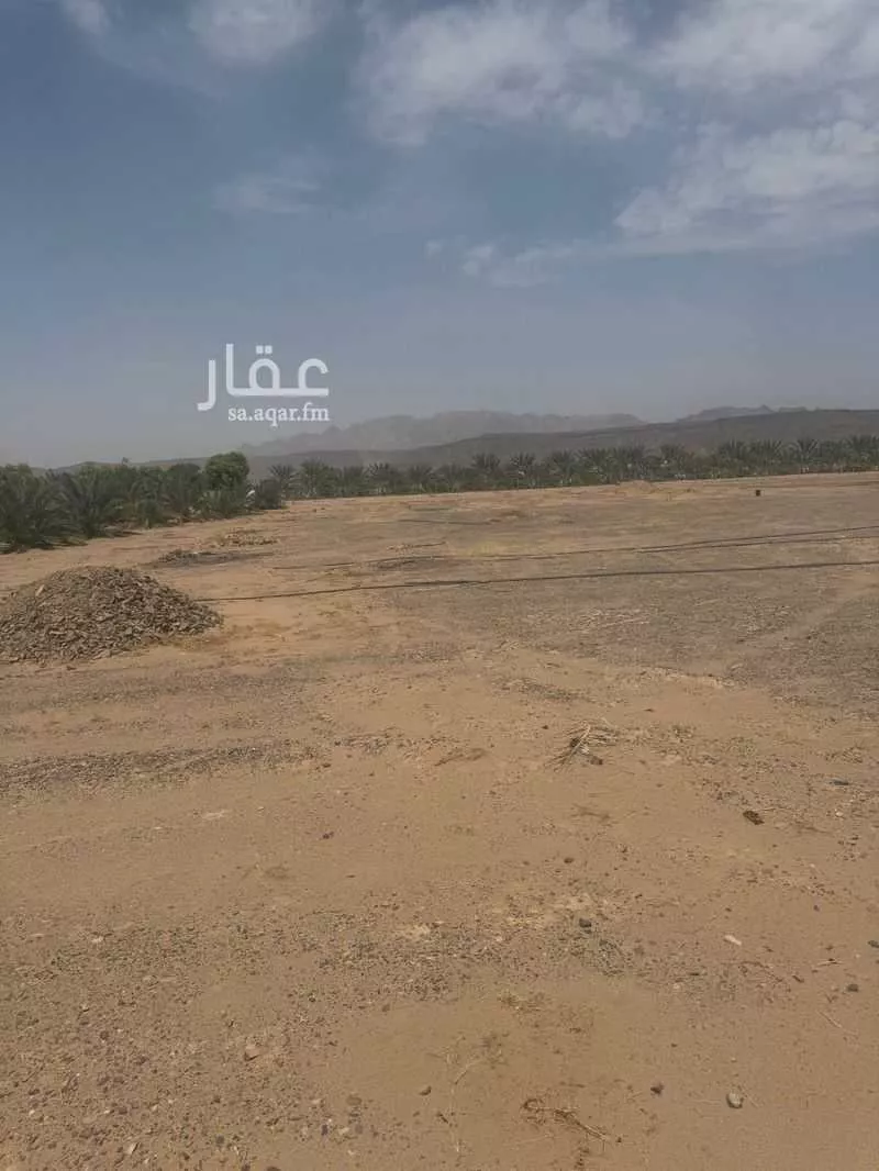 أرض للإيجار في شارع المندسة 1227, حي المندسة, مدينة المدينة المنورة, منطقة المدينة المنورة 1 صورة