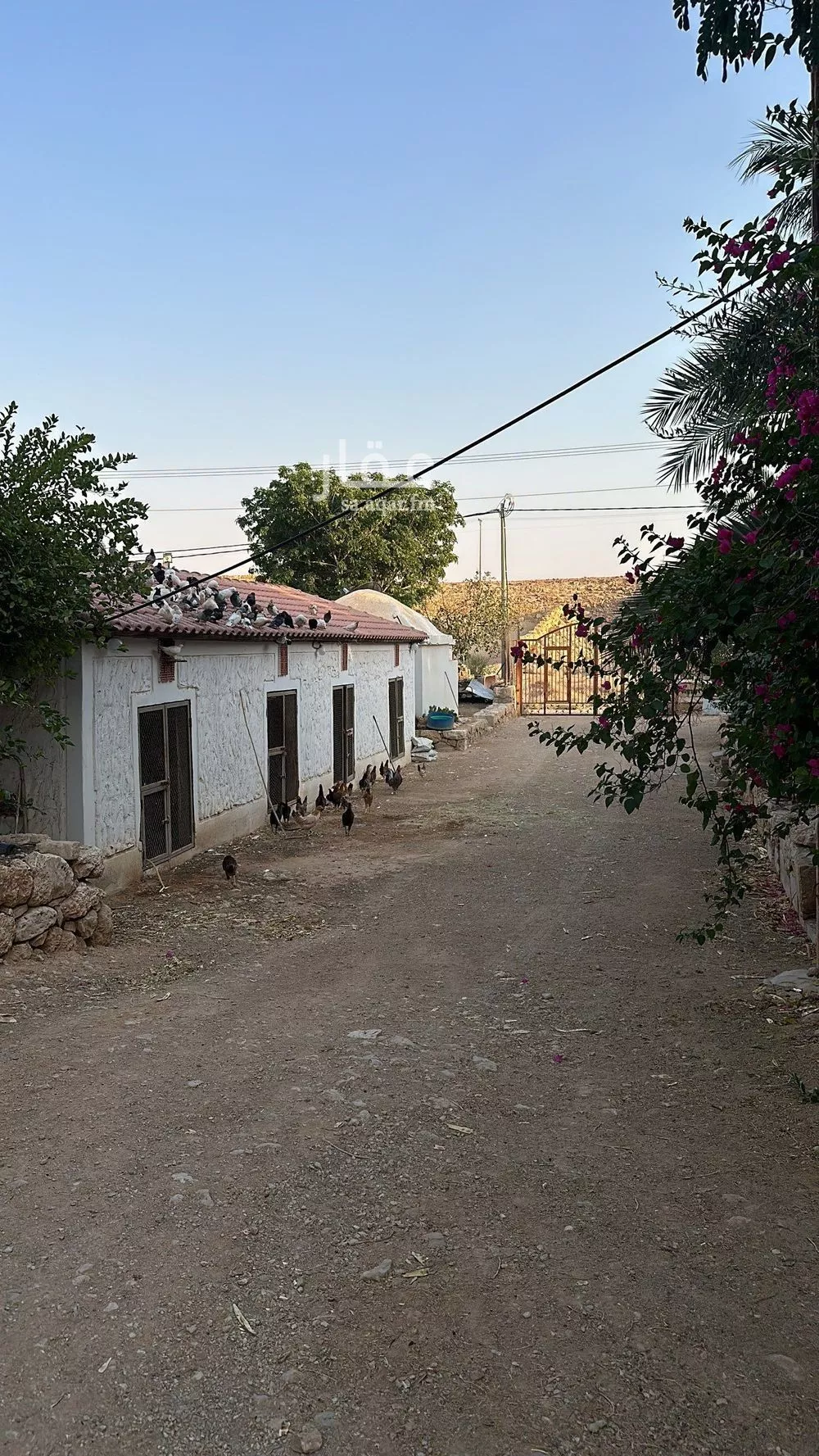 أرض للبيع في مدينة مخطط استراحات العماريه, منطقة الرياض 1 صورة