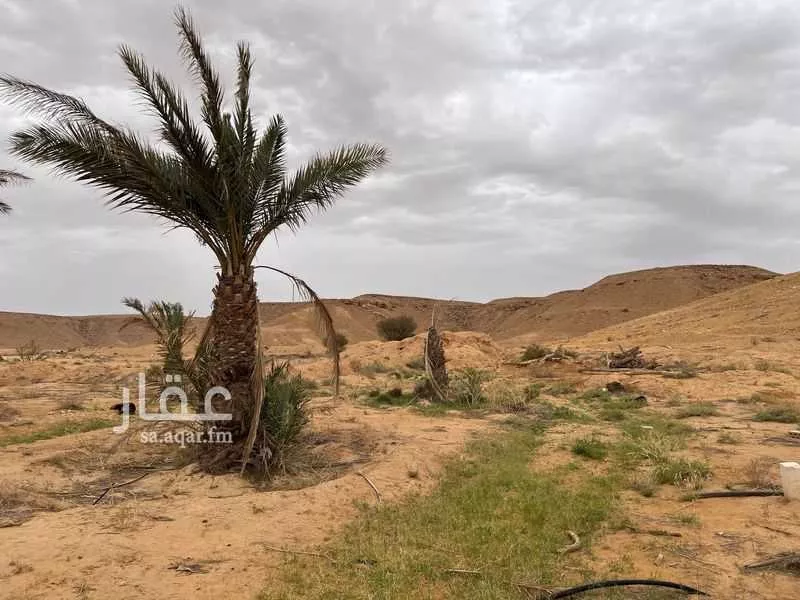 أرض للبيع في حي لبب, مدينة حريملاء, منطقة الرياض 1 صورة