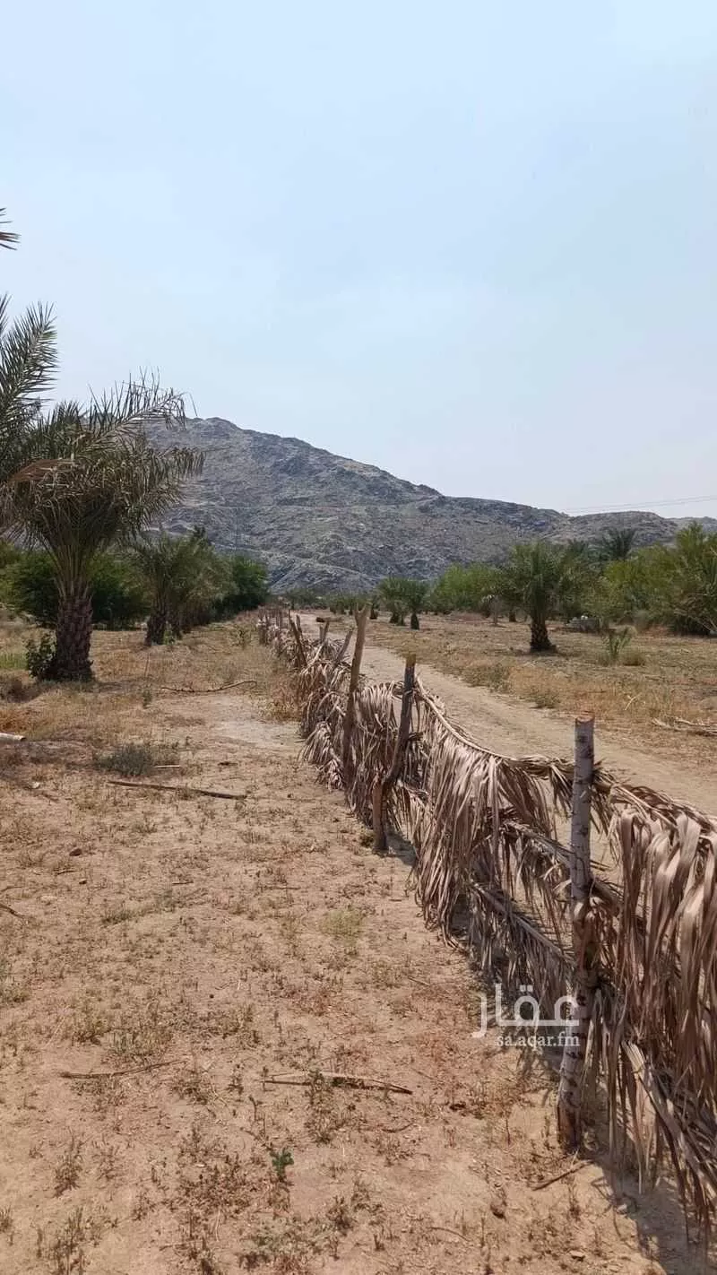 أرض للبيع في شارع الجودرية الجديد , حي الجودرية الجديد, مدينة مكه المكرمه, منطقة مكة المكرمة 1 صورة