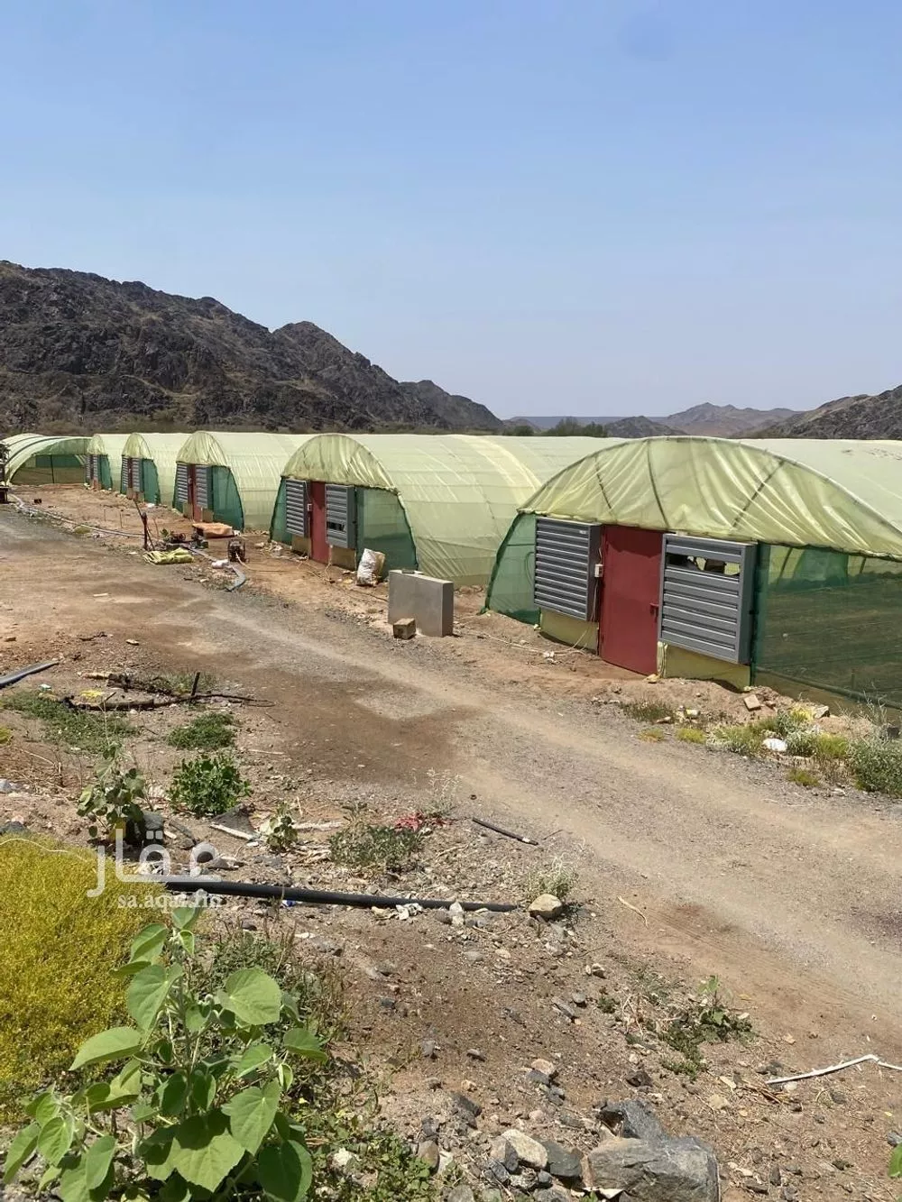 مزرعة للبيع في حي الدور, مدينة الدور, منطقة مكة المكرمة 1 صورة