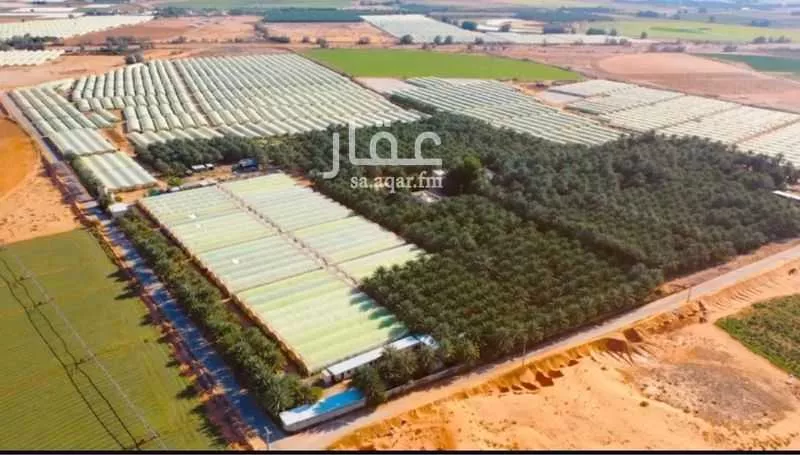 مزرعة للبيع في حي الضبيعة, مدينة الخرج, منطقة الرياض 1 صورة