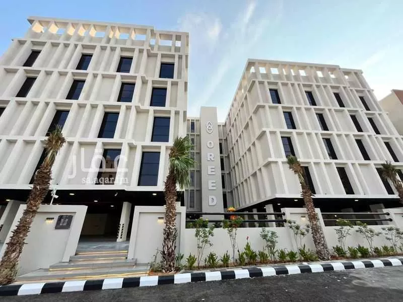 بلو رايز1 1 صورة