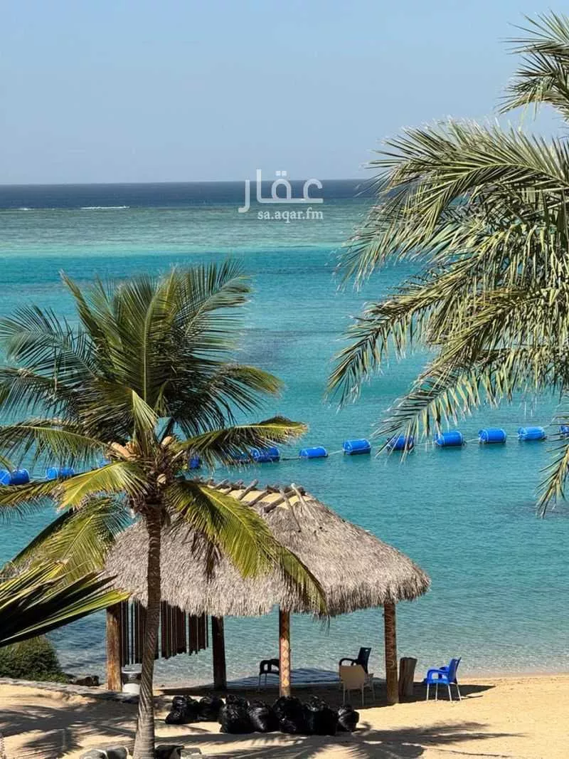 شقة للبيع في شارع جدة 1084 ، جدة ، جدة 1 صورة