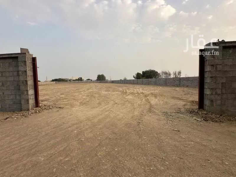 أرض للإيجار في البطنة ، بيش 1 صورة