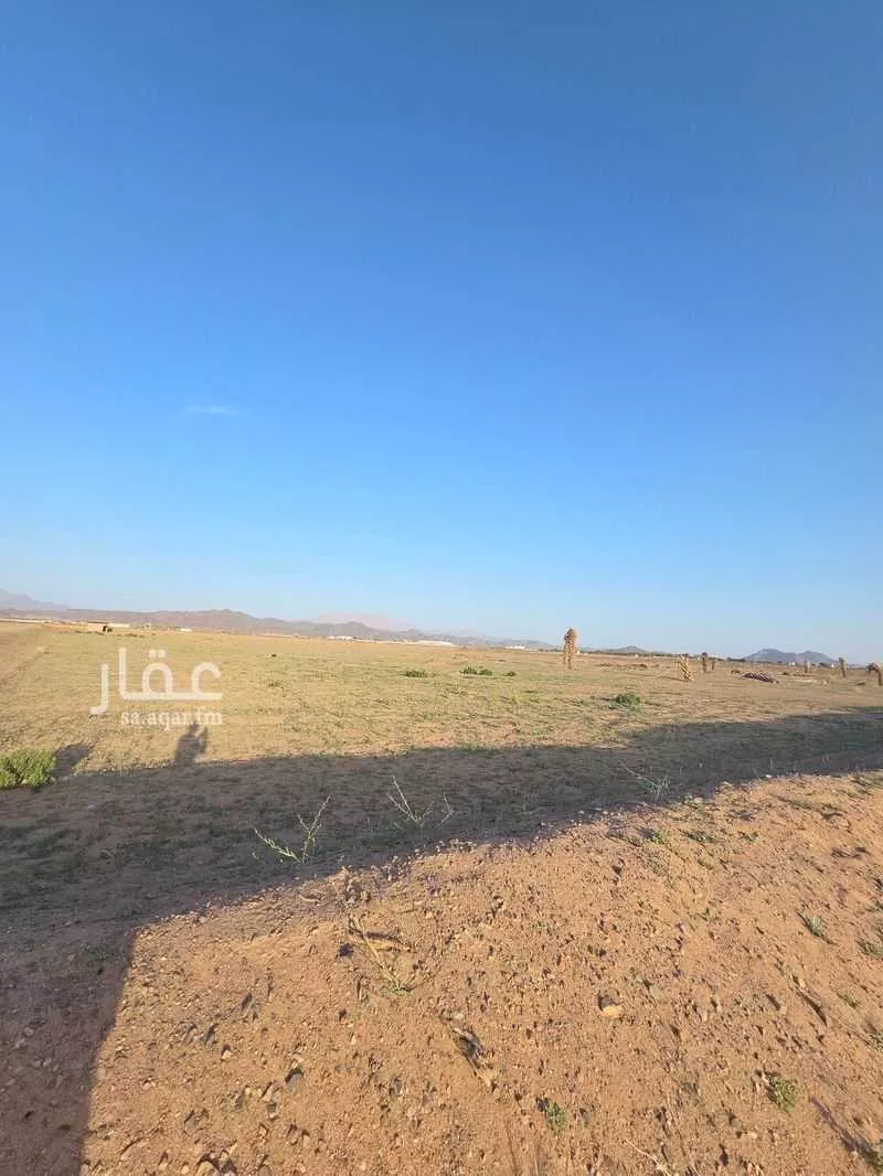 مزرعة للبيع في شارع بواط, حي المليليح, مدينة المدينة المنورة, منطقة المدينة المنورة 1 صورة