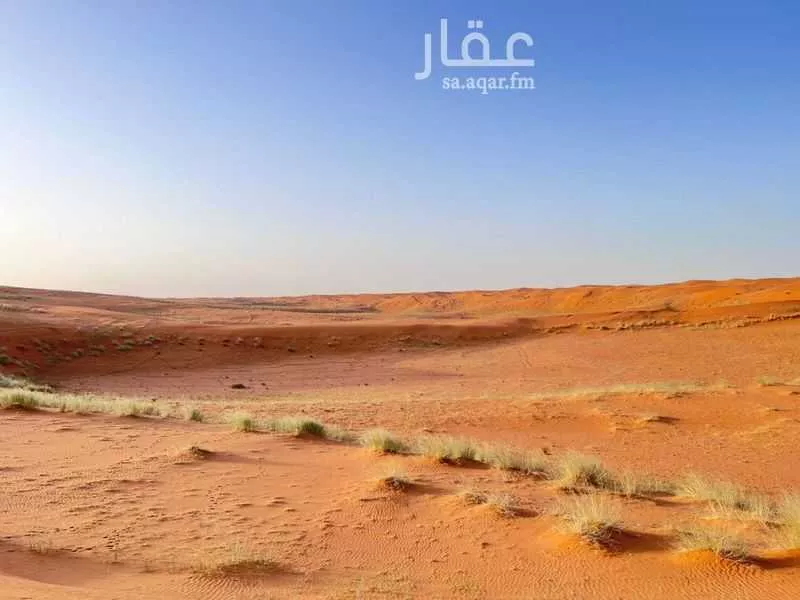 مزرعة للبيع في حي سنقيه, مدينة سنقيه, منطقة الرياض 1 صورة