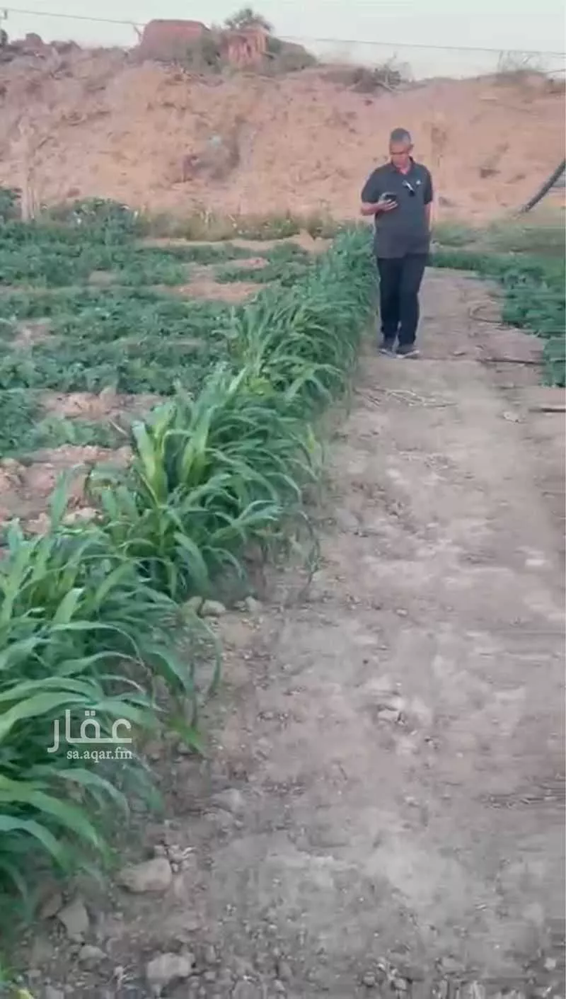أرض للبيع في حي فيده الوسطي, مدينة فيده الوسطي, منطقة مكة المكرمة 1 صورة