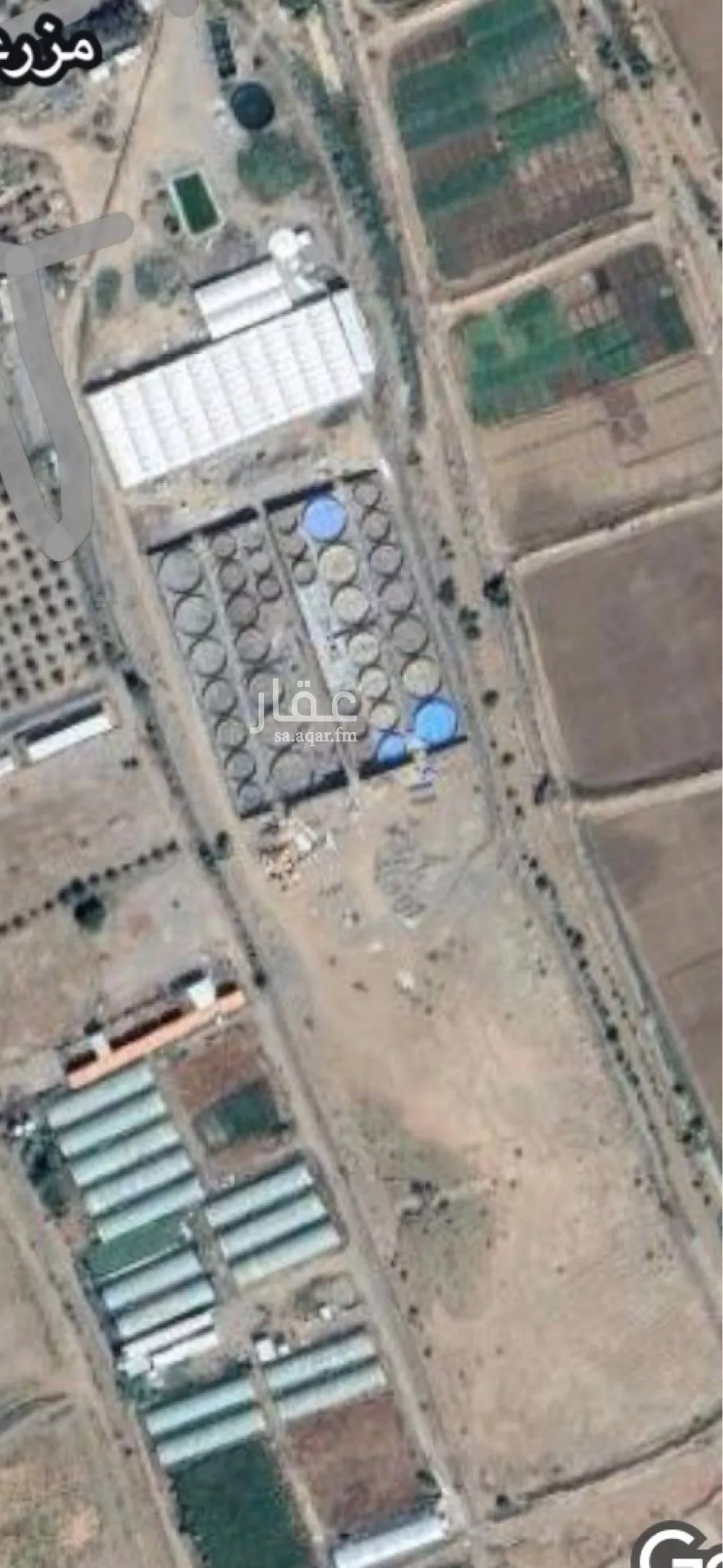 مزرعة للبيع في حي الدور, مدينة الدور, منطقة مكة المكرمة 1 صورة