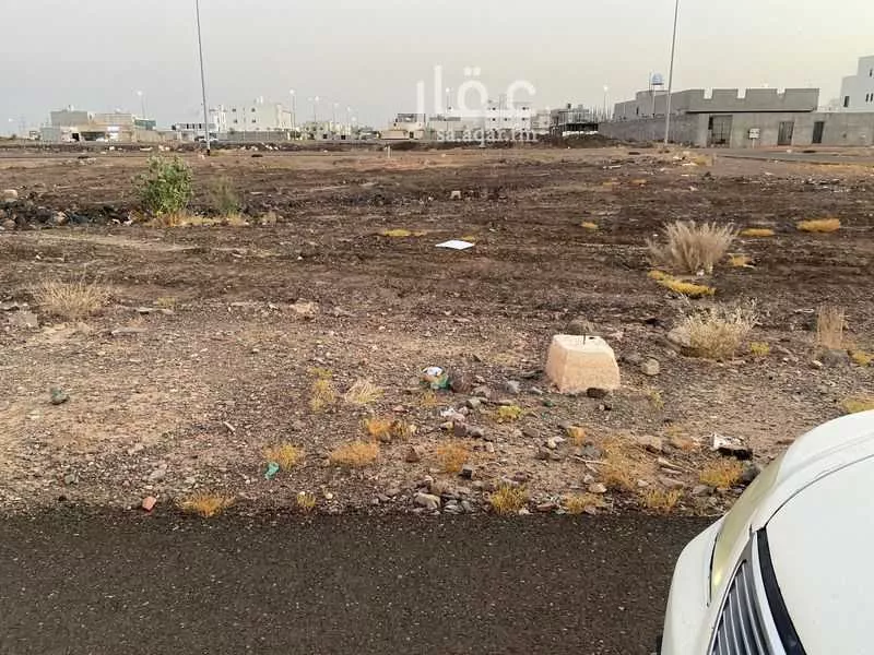 أرض للبيع في شارع علي ابن داود, حي السكب, مدينة المدينه المنوره, منطقة المدينة المنورة 1 صورة