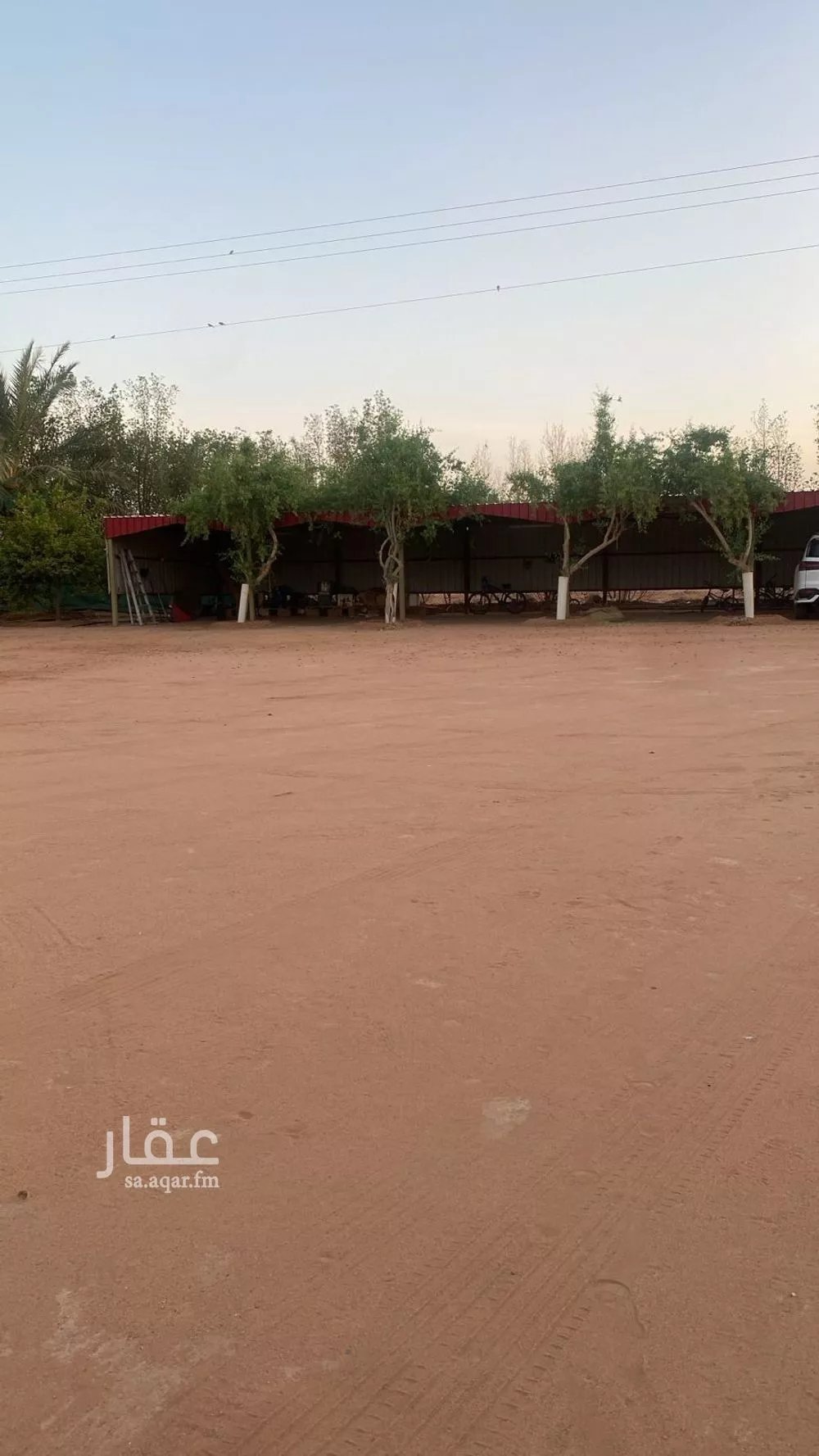 مزرعة للبيع في شارع لايوجد, حي مزارع برمه, مدينة مزارع برمه, منطقة الرياض 1 صورة