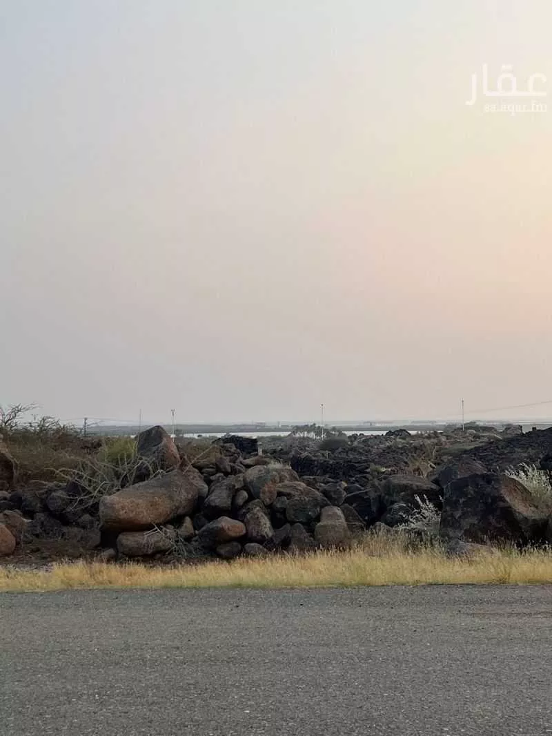 أرض للبيع في شارع الحريضه 333, مدينة العاين, منطقة عسير 1 صورة