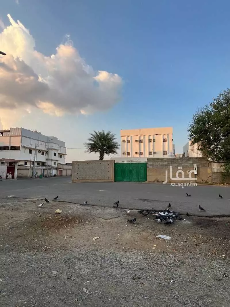 دور للبيع في شارع مالك ابن ربيعة, حي الشهداء, مدينة محائل, منطقة عسير 1 صورة