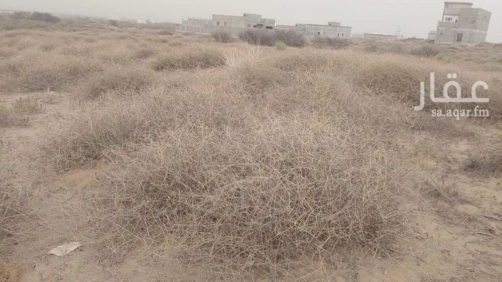 أرض للبيع في حي لحج الكلاب, مدينة لحج الكلاب, منطقة جازان 1 صورة