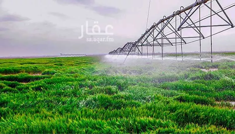 مزرعة للبيع في حي مزارع فقيه والمزارع المجاوره, مدينة مزارع فقيه والمزارع المجاوره, منطقة تبوك 1 صورة