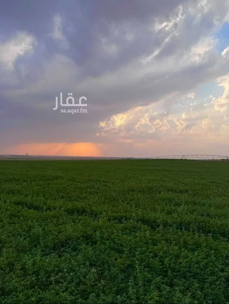 مزرعة للبيع في شارع ساق 51 ، ساق ، البكيرية 1 صورة