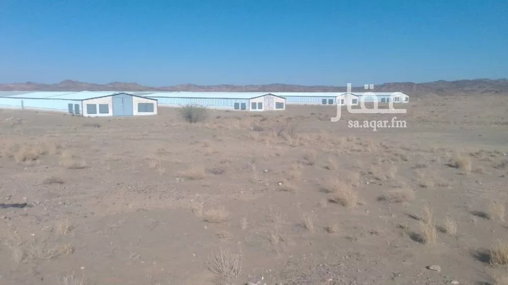 أرض للإيجار في شارع شارع وادي بن هشبل , مدينة اصلاب, منطقة عسير 1 صورة